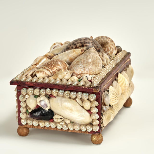 Antique Seashell Clad Box For Sale - Image 9 of 13