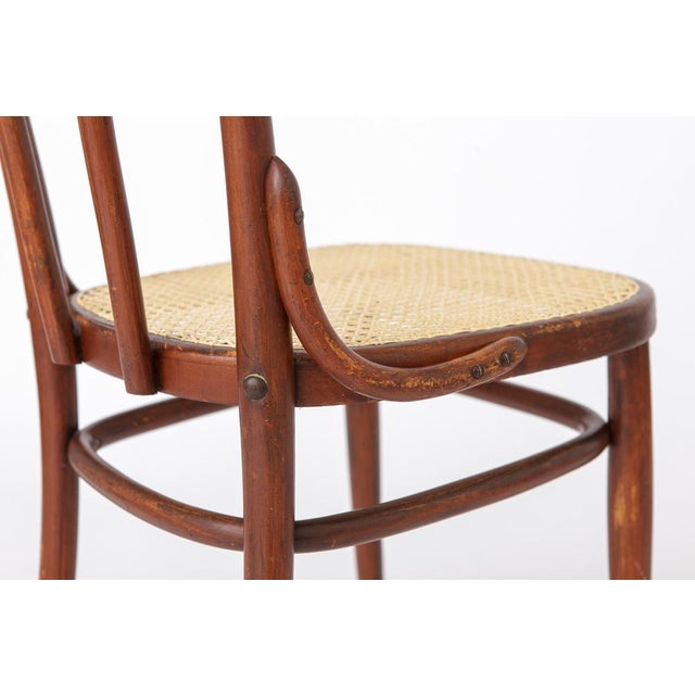 Brown Antique Austrian Bentwood Chair in Rattan in the Style of Thonet No. 56, 1930s For Sale - Image 8 of 14