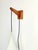 Vintage Tear Drop Wall Lamp in Teak and White Glass, Denmark, 1960s For Sale - Image 10 of 14