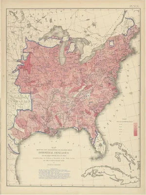 Pl. 45 Antique Chart of the US Inestinal Diseases Deaths, 1874