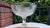 White Glass Serving Platter with Medallions Pattern from Ząbkowice Glassworks, 1970s For Sale - Image 8 of 9