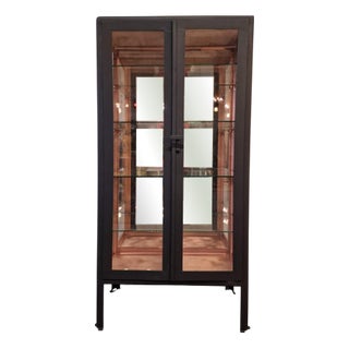 Vintage Display Cabinet with Metal Frame, 1960s For Sale