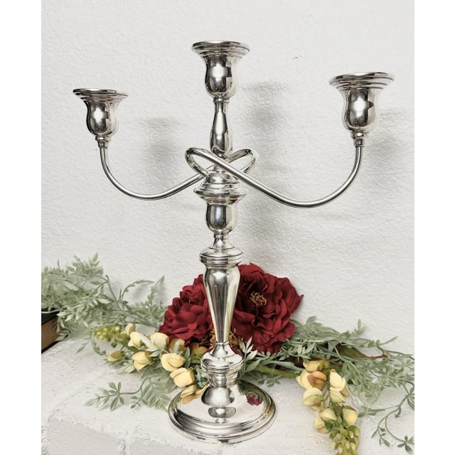 Vintage Sterling Silver Lord Saybrook Twisted Branch Candelabra For Sale - Image 10 of 11