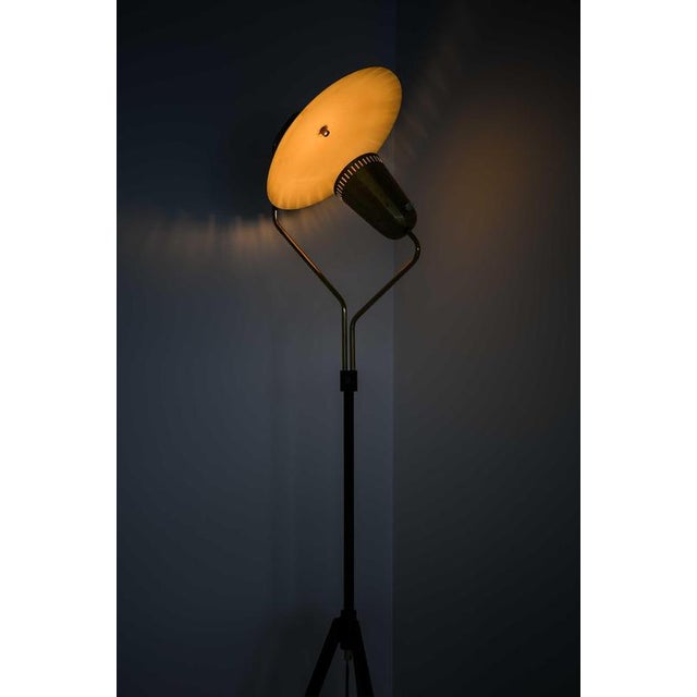Scandinavian Modern Floor Lamp in Brass and Lacquer, 1950s For Sale - Image 9 of 12