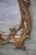 19th Century Italian Rococo Giltwood Mirror With Acanthus Design For Sale In Los Angeles - Image 6 of 7