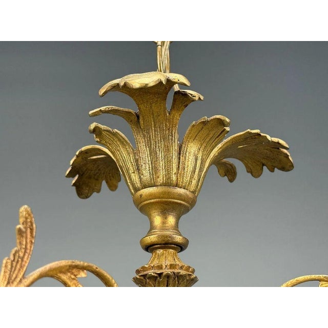 Rococo Style, Leaf and Vine Chandelier, Dore Bronze, Italy, 1920s For Sale - Image 12 of 13