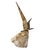 Vintage Curtis Jere Abstract Bird Sculpture in Patinated Brass on Stone Base c.1971 For Sale In Los Angeles - Image 6 of 7