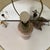 Early 1950s Guido Gambone Lamp For Sale - Image 11 of 12