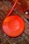 First edition,1965, of the Serpente "Snake" floor lamp in rare orange color. Can be rotated to any position thanks to the...