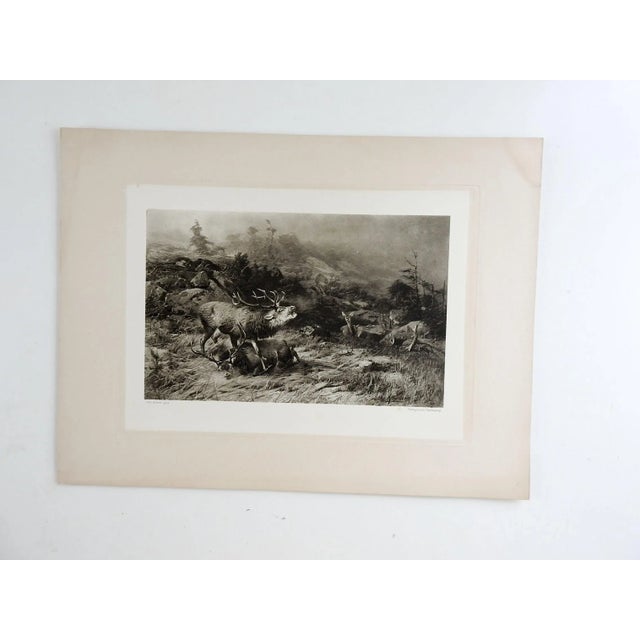 Portfolio of Antique Photogravure Prints - Set of 6 For Sale In Seattle - Image 6 of 8