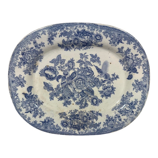 Antique 19th Century Light Blue Asiatic Pheasants Transfer-Ware Serving Platter From England - Circa 1880 For Sale