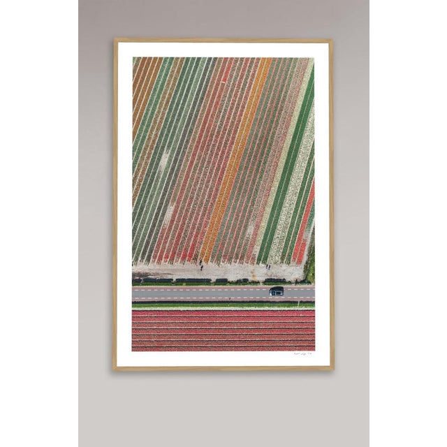 Edition Aerial Views Bernhard Lang Image: AV_Tulip_Fileds_010 Size B: 29,5 x 47,2 inches, 75 x 120 cm Captured in 2016 in...