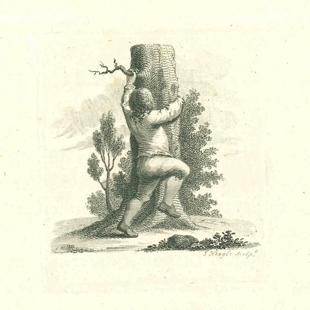 A Boy Climbing a Tree is an original artwork realized by James Neagle for Johann Caspar Lavater's "Essays on Physiognomy,...