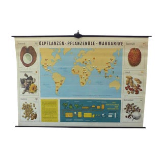 Vintage Educational Plant Chart For Sale