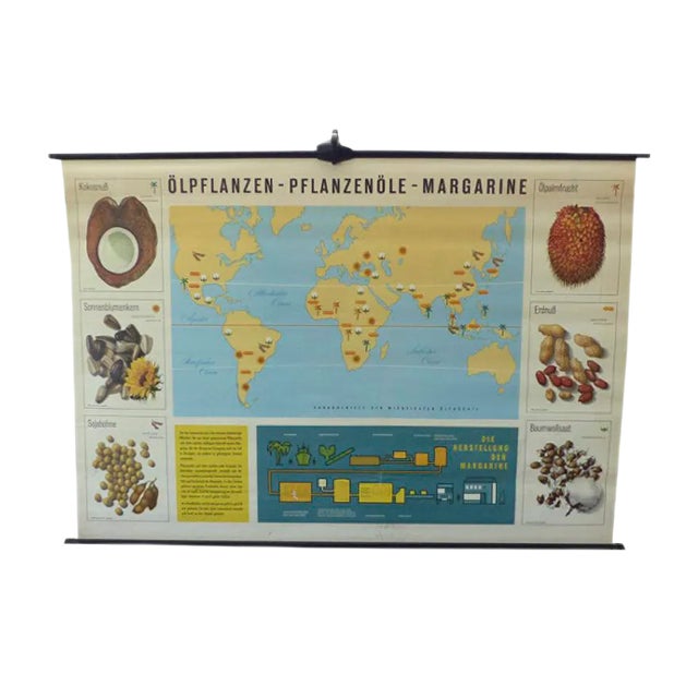 Vintage Educational Plant Chart For Sale