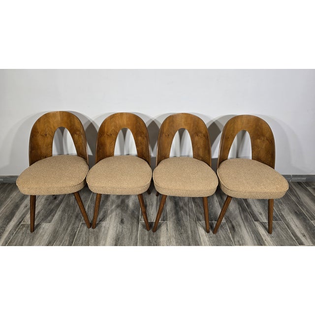 Dining Chairs by Antonín Šuman, 1960s, Set of 4 For Sale - Image 10 of 13