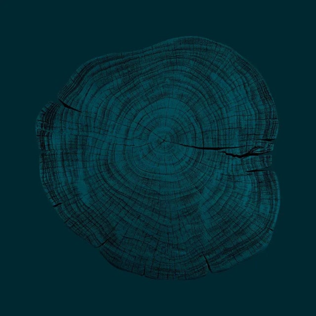 Contemporary Stump 1 - Variation 15 by Trinette + Chris Print with White Frame - 14 X 14 For Sale - Image 3 of 3