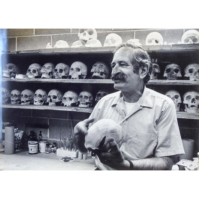 Rustic Late 20th Century Skull Storage Photograph For Sale - Image 3 of 3