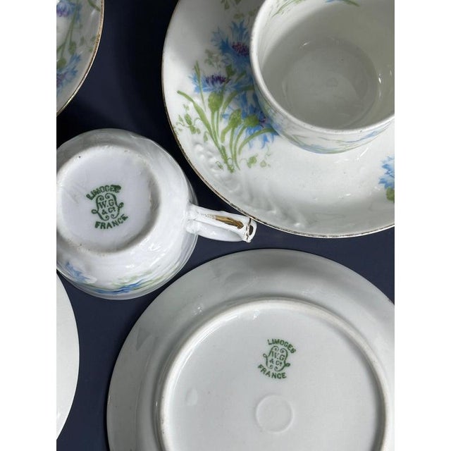Ceramic Porcelain Coffee Service from William Guerin and Co. Limoges, Late 19th Century, Set of 15 For Sale - Image 7 of 11