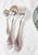 French Cutlery Set from Christofle, 1950s, Set of 37 For Sale - Image 6 of 11