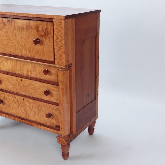 A 19th C Tiger Maple Dresser With Full Round Columns. Chairish