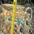 Vintage Italian Majolica Three-Armed Pear Planter Vase For Sale - Image 4 of 12