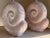 1970s Pair of 1970s Mid Century Nautilus Shell Pottery Lamps Made in France in the Style of Jean Charles Moreux For Sale - Image 5 of 12
