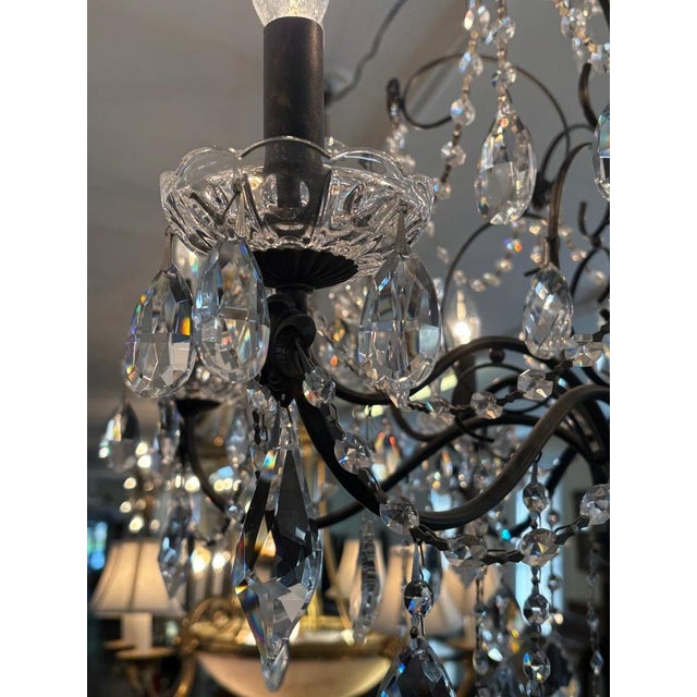 Black Schonbek 17124-76 Century 12 Light Black Frame Crystal Chandelier For Sale - Image 8 of 10