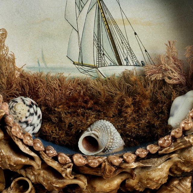 Pair of Antique British Colonial Sailors Valentine For Sale - Image 16 of 17