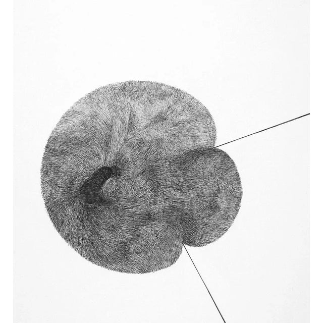 The drawings signed by Alina Aldea show the meticulousness and perfection of a microscopic observation. The “Cells” series...