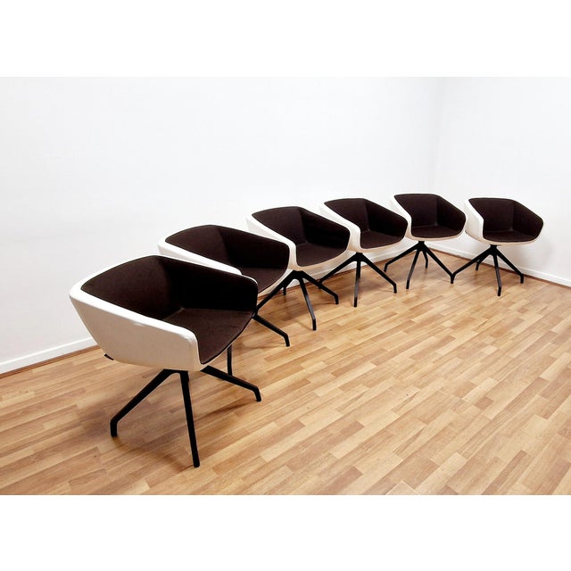 Arca True Design Chairs by Orlandini, Set of 6 For Sale - Image 11 of 13
