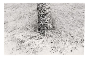 Baltic Freeze #2 - Black and White Analogue Landscape Photography 100 X 65 Cm 2022
