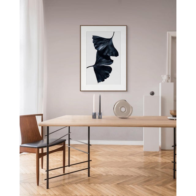 Exclusively available in the U.S. through ART AT HOME, Ginkgo Biloba II is a limited edition unframed photograph by...