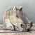 Rustic Vintage Cast Concrete Horse Head For Sale - Image 3 of 12