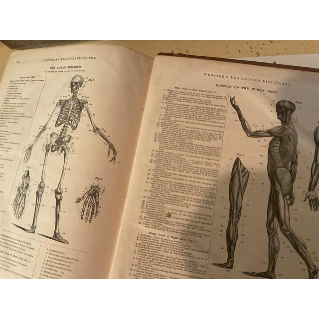 Mid 19th Century Webster Dictionary For Sale - Image 10 of 11