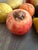 A stunning 11-piece collection of vintage mid-century Italian stone fruit, hand-carved from genuine Tuscan alabaster. This...