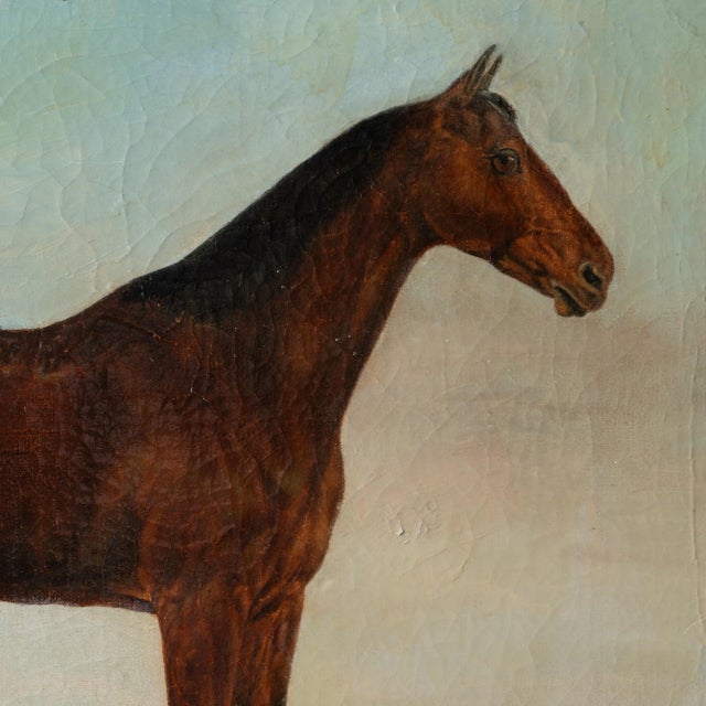Hart of Oak Horse Portrait Painting, C.1870 For Sale - Image 4 of 9