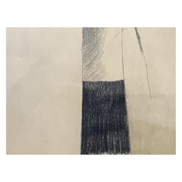 1960s Mid Century Modern Cattail Drawing by Bruce Dorfman (Am. Born 1936) For Sale - Image 4 of 11