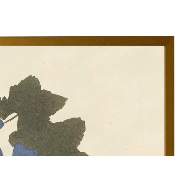 Art Print: Vintage Blue Malva Print In Gold Shadowbox Dimensions: 23" x 29"