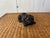 MCM Carved Ebony Pug For Sale - Image 9 of 12