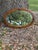 Early 20th Century antique oval oak framed beveled wall mirror with raised circular accents. Dimensions: 30.25" x 19.5"