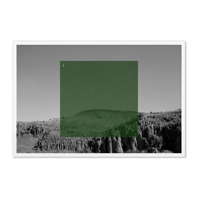Contemporary Green on BW2 by Riley Ryan-Wood Contemporary Photograph in White Frame, Small For Sale - Image 3 of 3