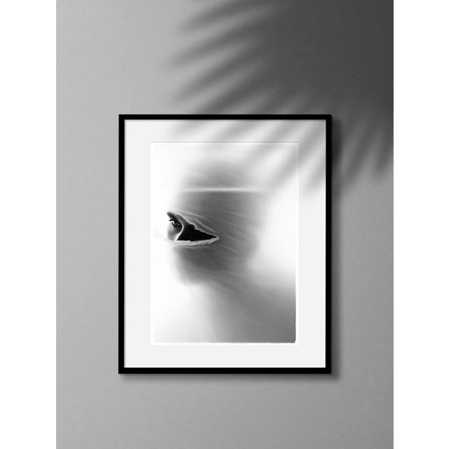 Personatus' London, United Kingdom 2020. Limited edition of 20. Photograph printed on heavy-weight fine art paper. COA...