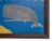 Early 21st Century Matt Rix, Naive Style Sperm Whale & Beach with Palms, Oil on Board, Framed For Sale - Image 5 of 11