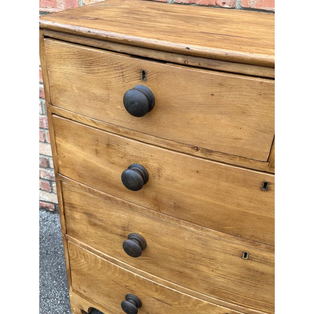 19th Century English Bowfront Chest For Sale - Image 10 of 12