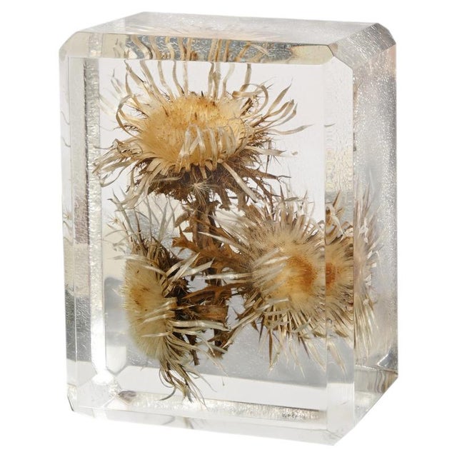 Acrylic Glass Paperweight with Encased Flowers by Pierre Giraudon, France, 1970s For Sale - Image 14 of 14