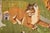 Green Late 20th Century Zabihi Collection Animal Motif Turkish Dowry Kilim - 6'5" x 7'9" For Sale - Image 8 of 11