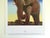 Contemporary Andy Warhol Estate Vintage 1992 Endangered Species Collector's Lithograph Pop Art Print "African Elephant " 1983 For Sale - Image 3 of 9