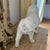 Signed White Glazed Pottery Lion Sculpture For Sale - Image 4 of 10