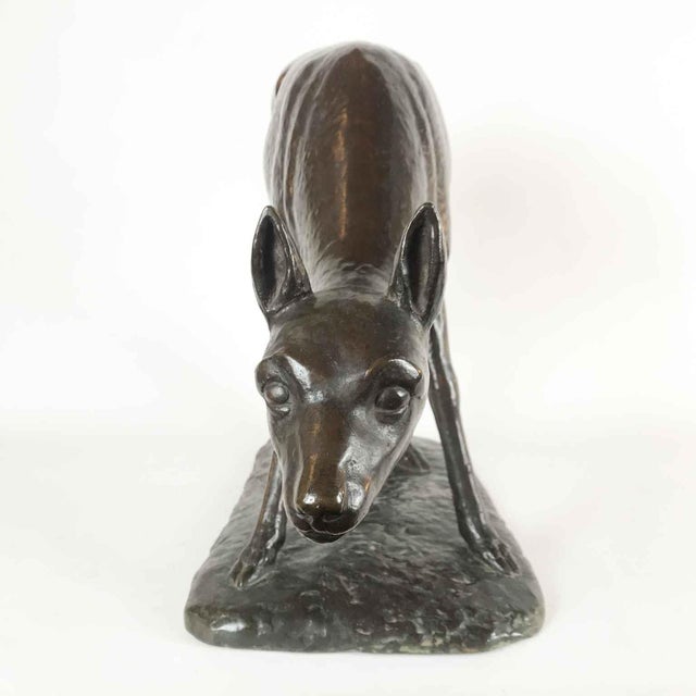 Black Francesco Buonapace, Fawn, 1930, Bronze For Sale - Image 8 of 12